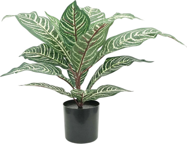 Изображение товара Искусственное растение Sundays Home Зебровый лист / BC10112 (50см)