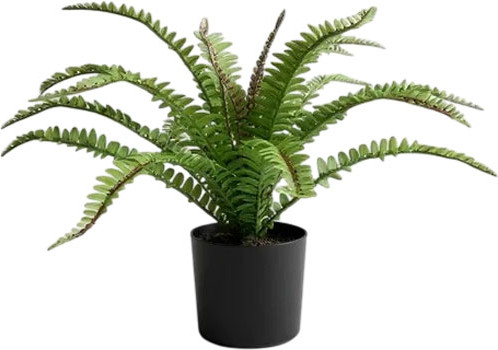 Изображение товара Искусственное растение Sundays Home Папоротник / BC10113 (40см)