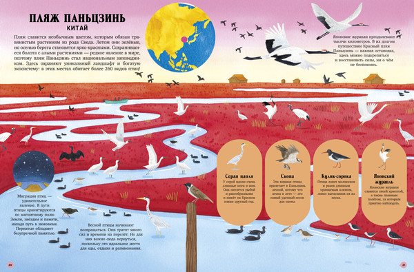 Изображение товара Энциклопедия CLEVER Удивительные животные и где они обитают, твердая обложка (Кассани Миа)