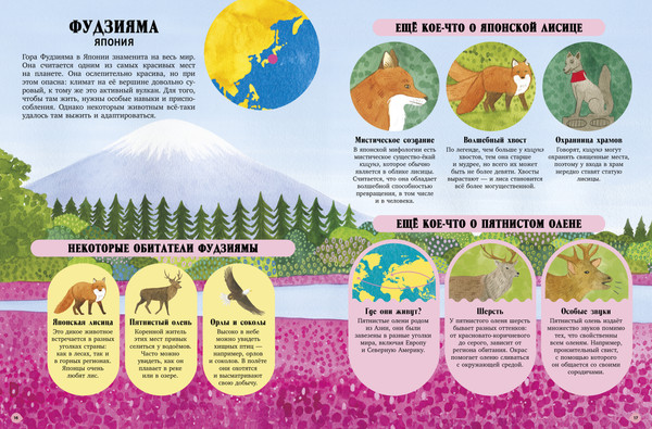 Изображение товара Энциклопедия CLEVER Удивительные животные и где они обитают, твердая обложка (Кассани Миа)