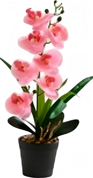 Изображение товара Искусственный цветок Sundays Home Фаленопсис бонсай / BC10130 (43см)