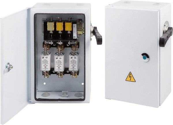 Изображение товара Ящик силовой Элект ЯРП 100А IP54 c ПН-2 (с)