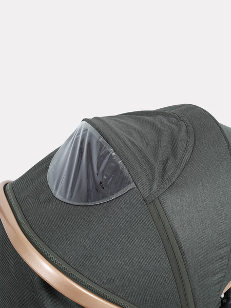 Изображение товара Детская универсальная коляска Rant Basic Roller Gold 2в1 / RA161 (Olive)