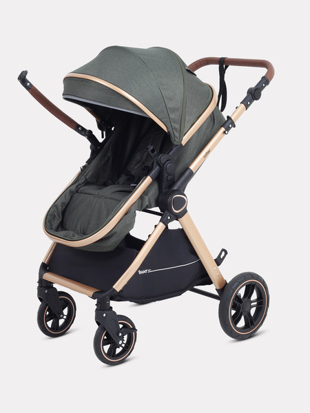 Изображение товара Детская универсальная коляска Rant Basic Roller Gold 2в1 / RA161 (Olive)