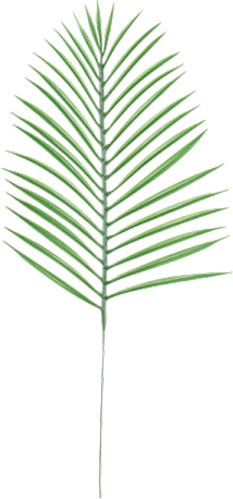 Изображение товара Искусственная ветка Sundays Home Лист подсолнечника / BC10169 (52см)