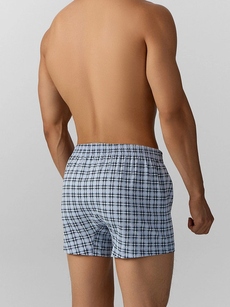 Изображение товара Трусы мужские Mark Formelle 411152 (р.98-108, клетка на серо-голубом)