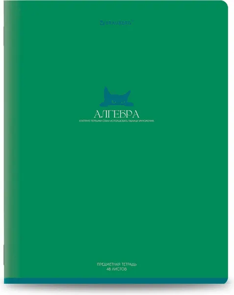 Изображение товара Набор предметных тетрадей Brauberg Monocolor / 405175 (13шт)