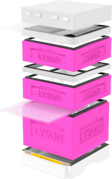 Изображение товара Улей Lyson Дадан На 12 Рамок / K123PW (розовый/неокрашенный)