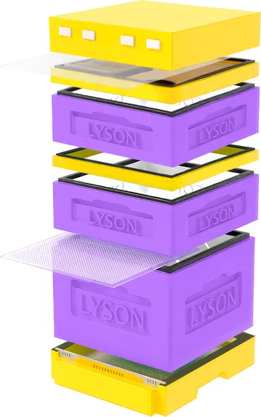 Изображение товара Улей Lyson Дадан На 12 Рамок / K123PUY (фиолетовый/желтый)