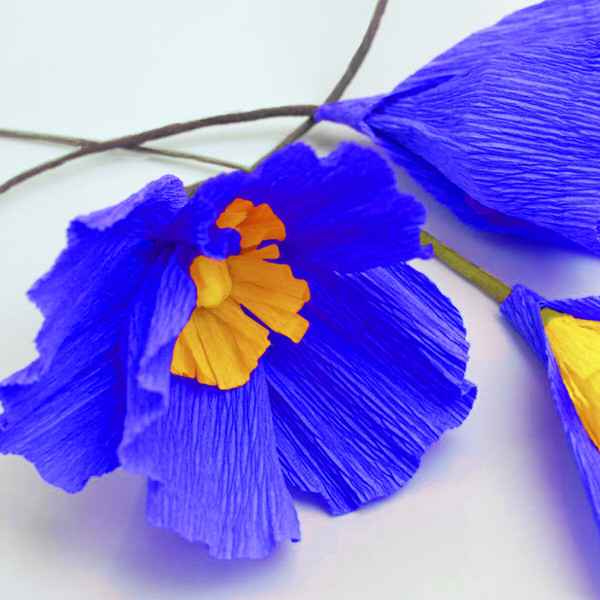 Изображение товара Бумага для оформления подарков Brauberg 126535 (синий)