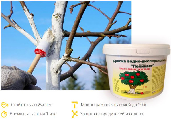 Изображение товара Краска Полицвет для садовых деревьев (3кг)