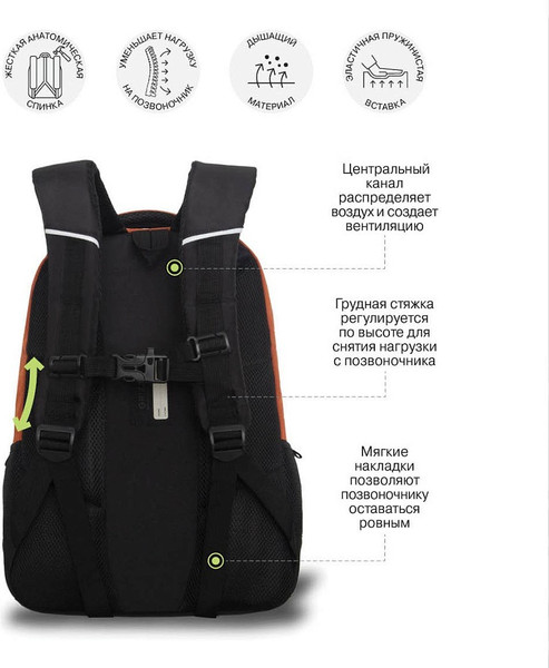 Изображение товара Школьный рюкзак Grizzly RU-630-2 (черный/коричневый)