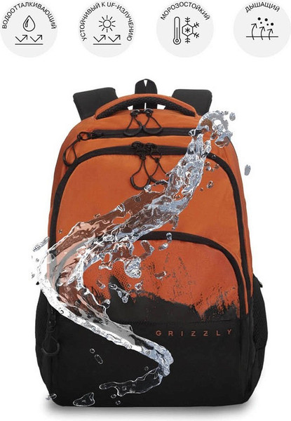 Изображение товара Школьный рюкзак Grizzly RU-630-2 (черный/коричневый)