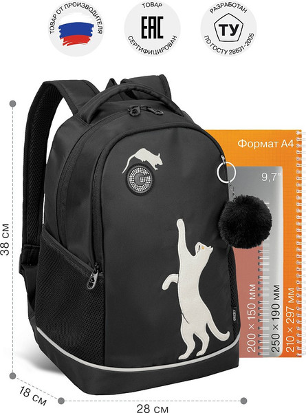 Изображение товара Школьный рюкзак Grizzly RG-663-7 (черный)