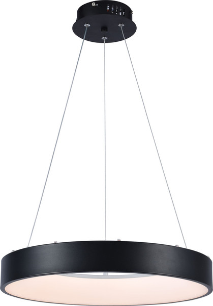 Изображение товара Потолочный светильник AksHome Ring LED (черный)