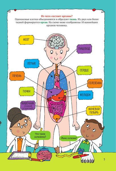 Изображение товара Энциклопедия АСТ Тело человека (Абботт Саймон 9785171604820)