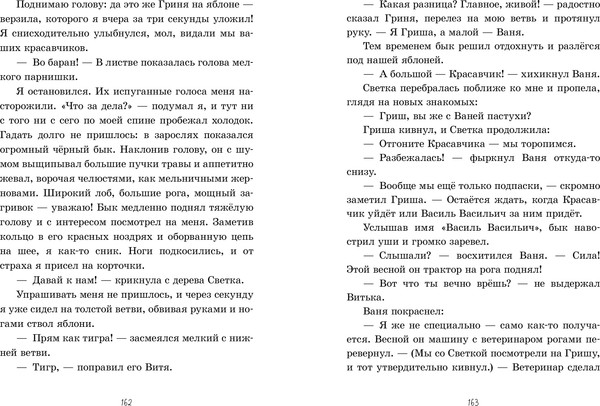 Изображение товара Книга CLEVER Деревенские приключения. Деревня Гусиные Лапки, твердая обложка (Снесарь Андрей)