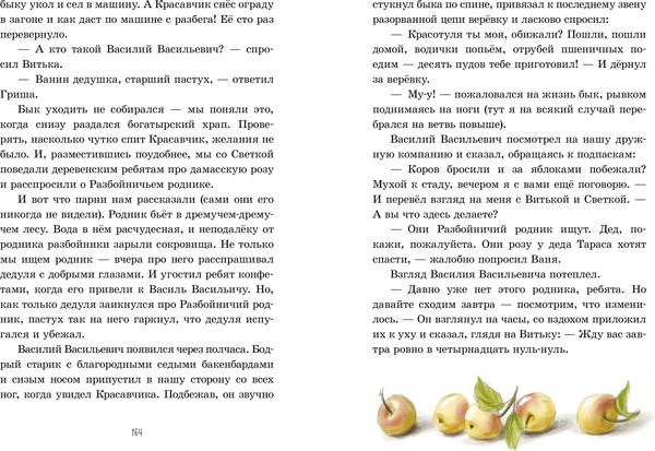 Изображение товара Книга CLEVER Деревенские приключения. Деревня Гусиные Лапки, твердая обложка (Снесарь Андрей)