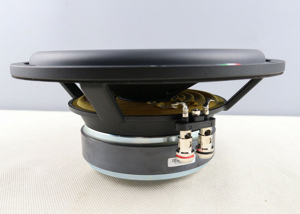 Изображение товара Головка сабвуфера STEG ST10