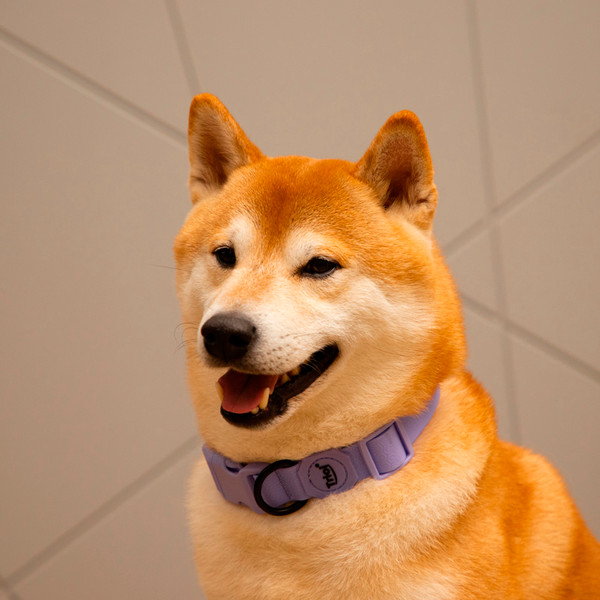 Изображение товара Ошейник Triol Матрица / 11291002 (M, сиреневый)