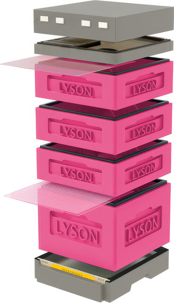 Изображение товара Улей Lyson Дадан На 12 Рамок / K126PG (розовый/серый)