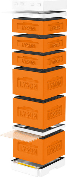 Изображение товара Улей Lyson Дадан На 12 Рамок / K128ORW (оранжевый/неокрашенный)