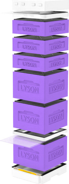 Изображение товара Улей Lyson Дадан На 12 Рамок / K128PUW (фиолетовый/неокрашенный)