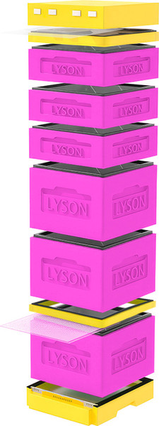 Изображение товара Улей Lyson Дадан На 12 Рамок / K128PY (розовый/желтый)