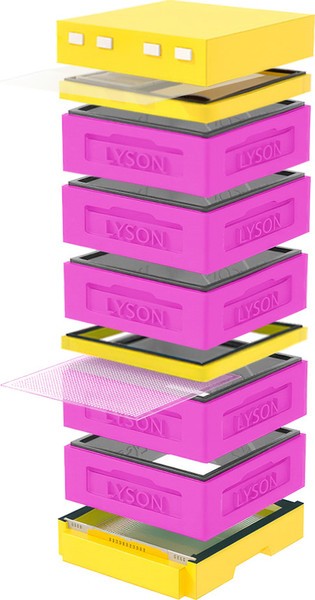 Изображение товара Улей Lyson Дадан На 12 Рамок / K129PY (розовый/желтый)