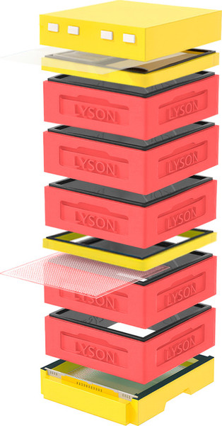 Изображение товара Улей Lyson Дадан На 12 Рамок / K129RDY (красный/желтый)