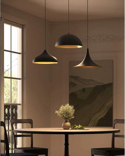 Изображение товара Потолочный светильник Arte Lamp A7080SP-1BK