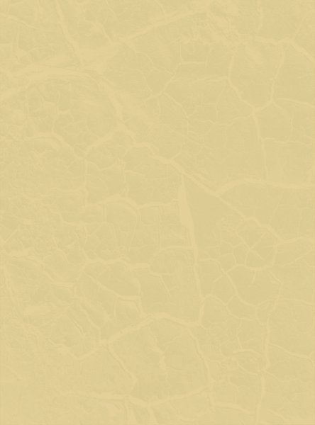 Изображение товара Книга АСТ Мировая живопись. XII-XVI века (Геташвили Нина 9785171762049)