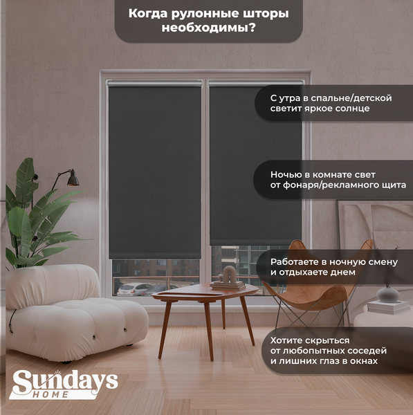 Изображение товара Рулонная штора Sundays Home LM 167-07 67х160 (темно-серый)