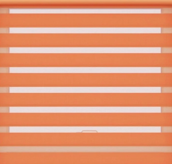 Изображение товара Рулонная штора Jalux День-Ночь Софт bh 1802 48x160 (морковный)
