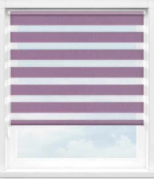 Изображение товара Рулонная штора Jalux День-Ночь Софт s 8 56x160 (бледно-бордовый)