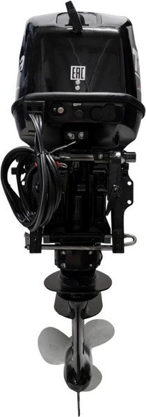 Изображение товара Мотор лодочный Toyama T40FWS