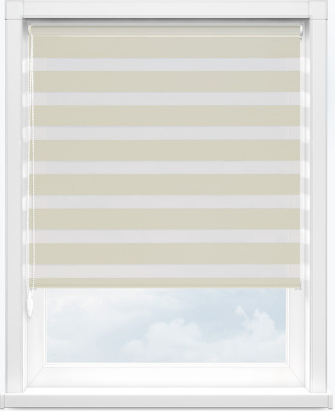 Изображение товара Рулонная штора Jalux День-Ночь V 2079/13 60x160 (бежевый)