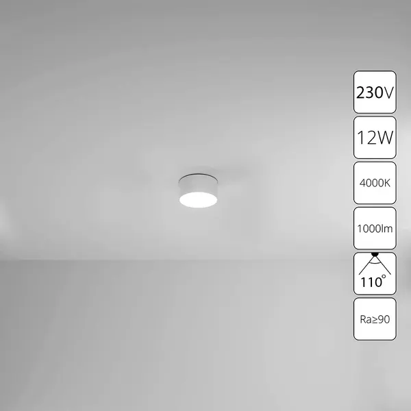 Изображение товара Точечный светильник Arte Lamp Fado A6612PL-1WH