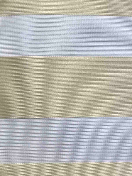 Изображение товара Рулонная штора Jalux День-Ночь V 2079/13 65x160 (бежевый)