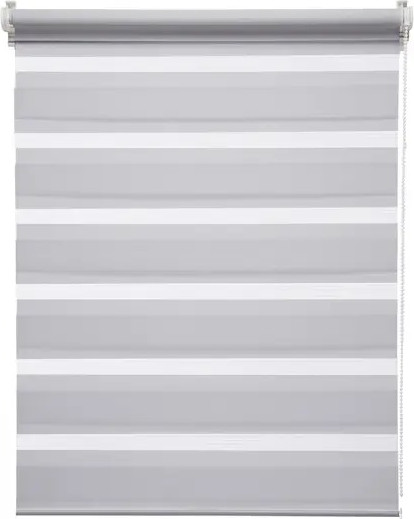 Изображение товара Рулонная штора Jalux День-Ночь V 2079/17 65x160 (светло-серый)