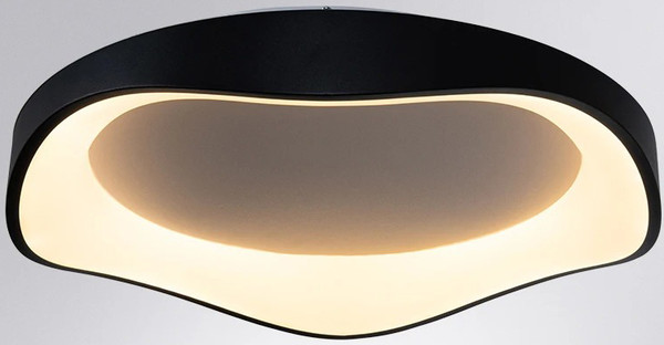 Изображение товара Потолочный светильник Arte Lamp A3085PL-56BK