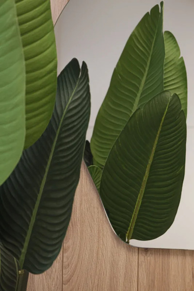 Изображение товара Зеркало Silver Mirrors Молли 80x100 / ФР-00002542