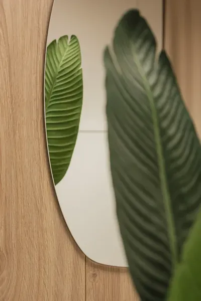 Изображение товара Зеркало Silver Mirrors Тайла 50x75 / ФР-00002549 