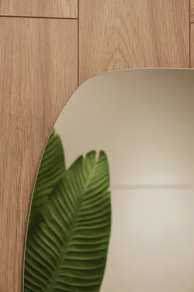 Изображение товара Зеркало Silver Mirrors Тайла 50x75 / ФР-00002549 