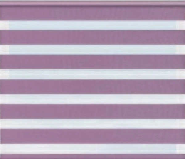 Изображение товара Рулонная штора Jalux День-Ночь Софт s 8 70x160 (бледно-бордовый)