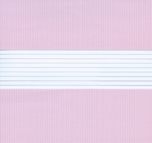 Изображение товара Рулонная штора Jalux День-Ночь Софт bh 10 65x160 (розовый)