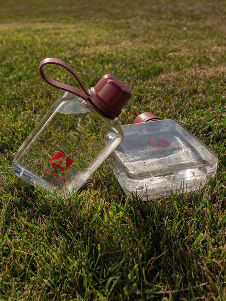 Изображение товара Бутылка для воды Арктика 727-240-BERR (вишня)