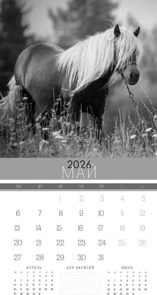 Изображение товара Календарь настенный Listoff Символ года 1. 2026 год / КС122601