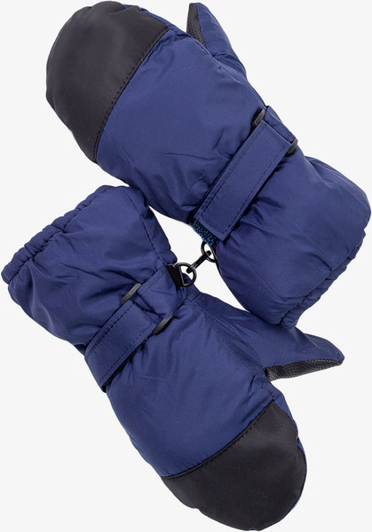 Изображение товара Варежки детские Isee GGLV202515 (р.15, синий)