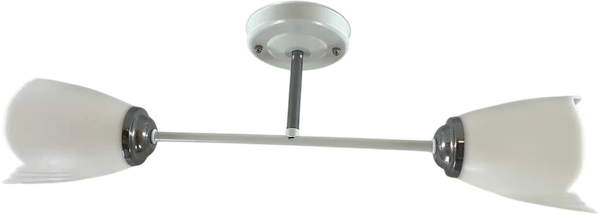 Изображение товара Потолочный светильник Lumix 1010/2 (белый/хром)